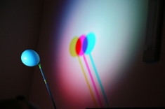 Fot. M. Misiakiewicz